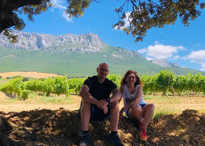 Apartamento Ruta Del Vino